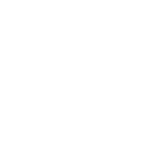 Cruise Ship