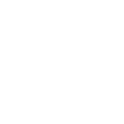 Passports